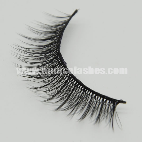 _0000s_0013s_0000_DSC_0255