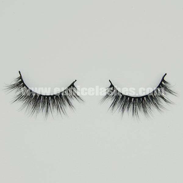 _0000s_0000s_0002s_0003_3D03_2